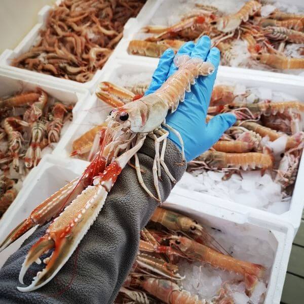 crostacei-per-la-ristorazione